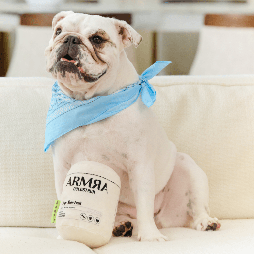 The ARMRA Pup Revival Dog Toy