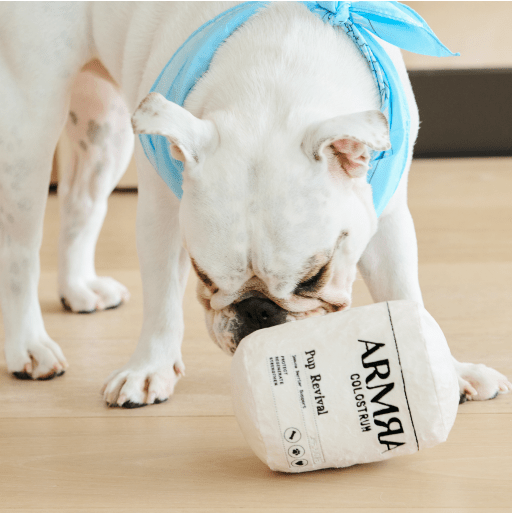 The ARMRA Pup Revival Dog Toy